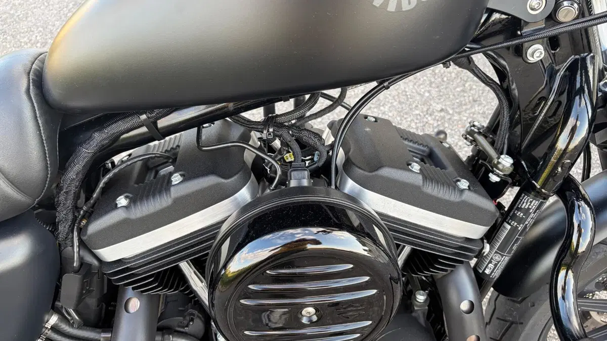 Harley-Davidson 883 Iron (2017 - 20) - XL 883N  (4)
