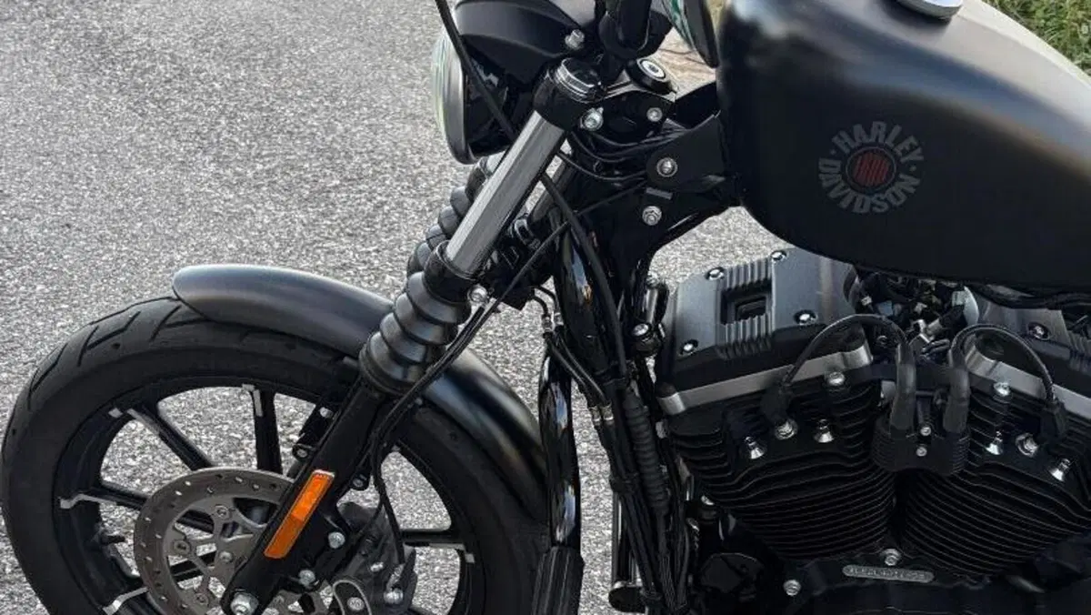 Harley-Davidson 883 Iron (2017 - 20) - XL 883N  (7)