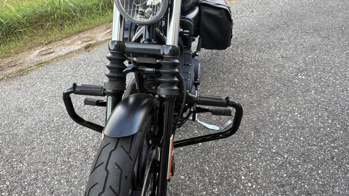 Harley-Davidson 883 Iron (2017 - 20) - XL 883N  (8)