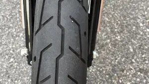 Harley-Davidson 883 Iron (2017 - 20) - XL 883N  (9)