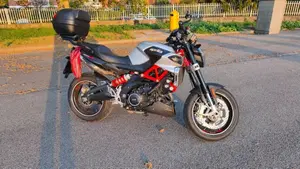 Aprilia Shiver 900 ABS (2019 - 20)  (2)