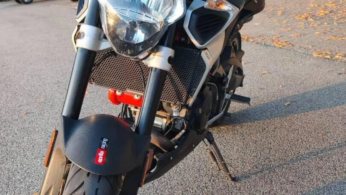 Aprilia Shiver 900 ABS (2019 - 20)  (8)