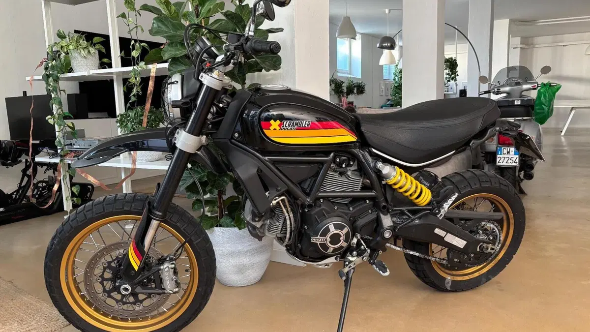 Ducati Scrambler 800 Desert Sled (2017 - 20)  (5)