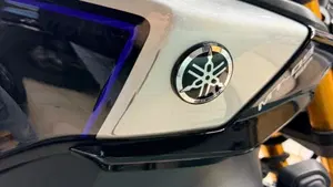 Yamaha MT-09 SP (2024 - 26)  (18)