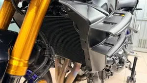 Yamaha MT-09 SP (2024 - 26)  (20)