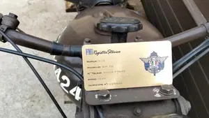 Bsa   (2)