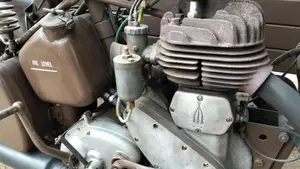 Bsa   (3)