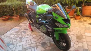 Kawasaki Ninja 636 ZX-6R KRT Performance (2019 - 20)  (4)