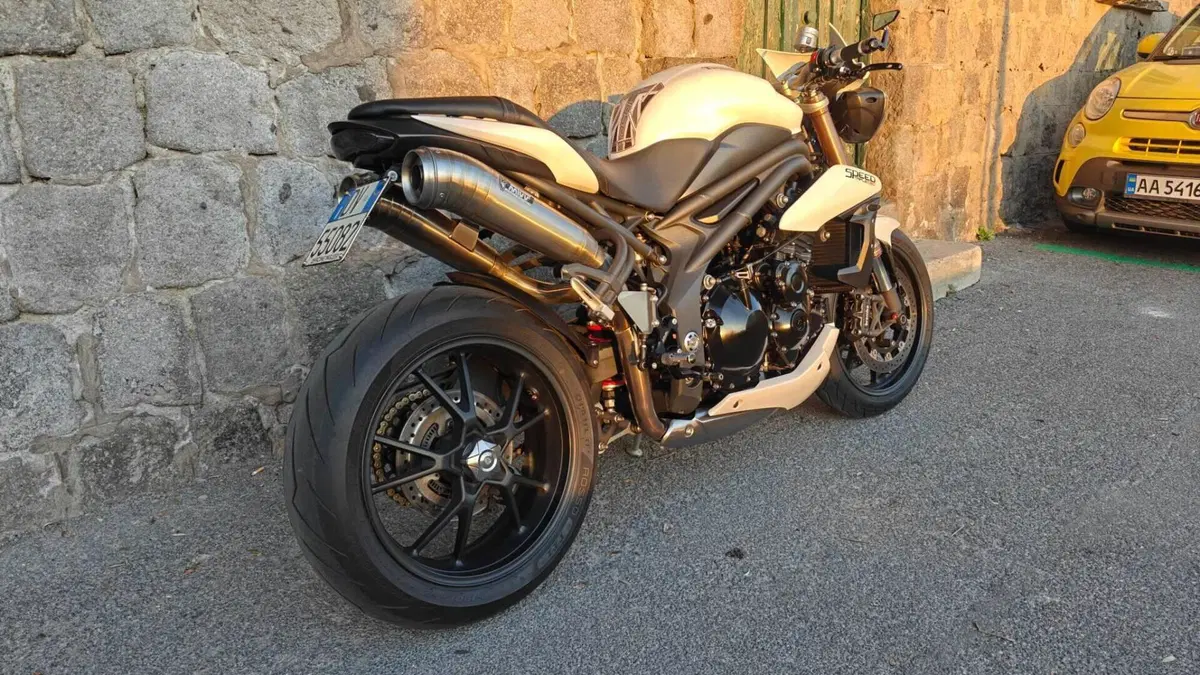 Triumph Speed Triple 1050 ABS (2011 - 15)  (5)