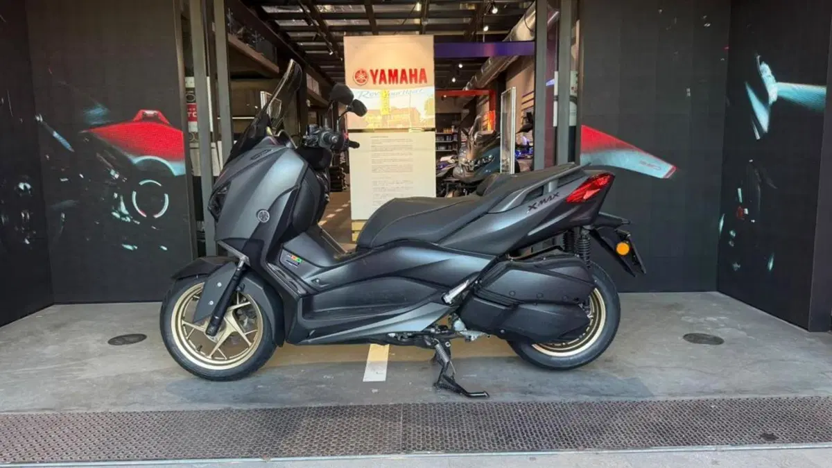 Yamaha X-Max 300 ABS (2017 - 20)  (2)