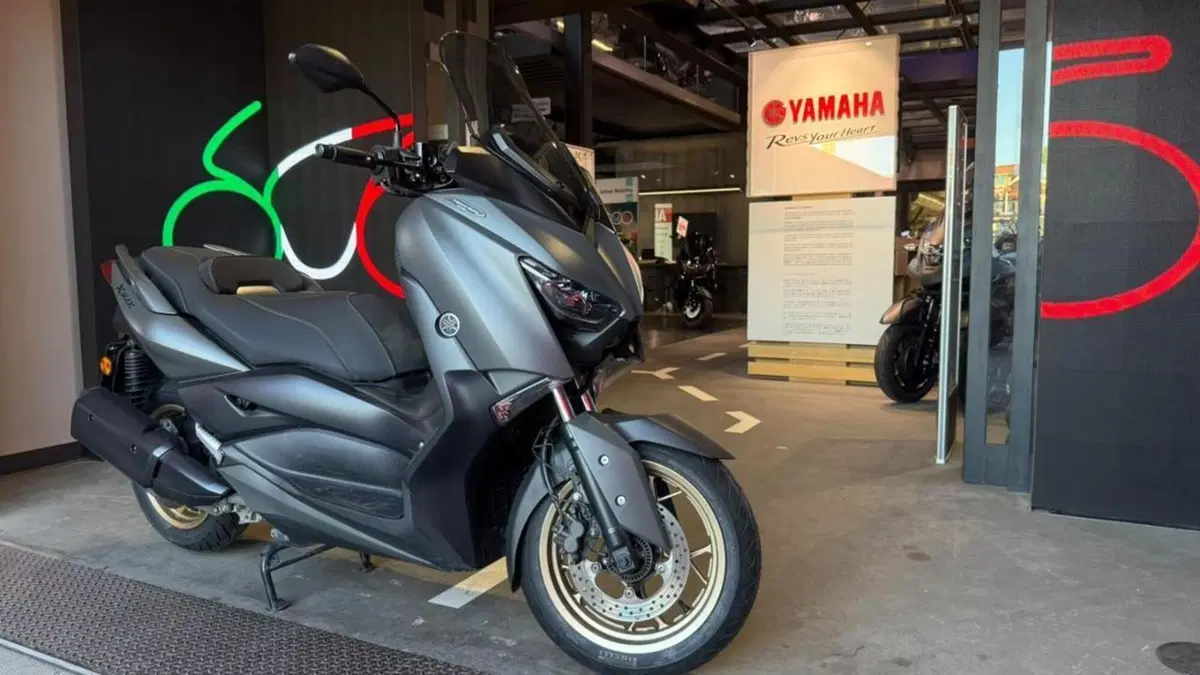 Yamaha X-Max 300 ABS (2017 - 20)  (3)
