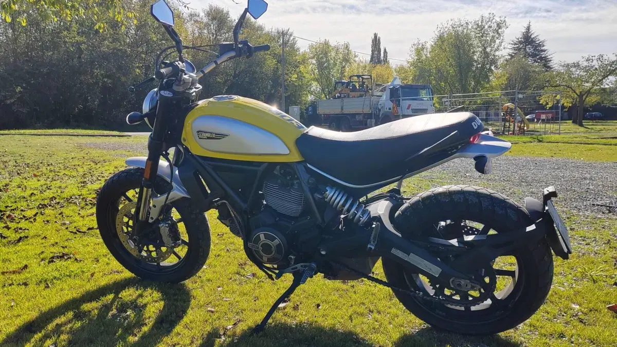 Ducati Scrambler 800 Icon (2017 - 20)  (6)