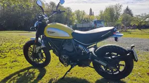 Ducati Scrambler 800 Icon (2017 - 20)  (6)