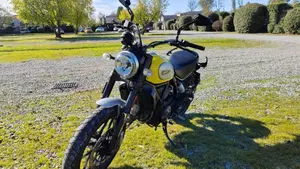 Ducati Scrambler 800 Icon (2017 - 20)  (7)