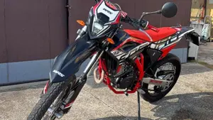 Betamotor RR 125 4T Enduro LC (2021 - 23)  (4)