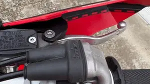 GASGAS EC 250 F (2024)  (8)