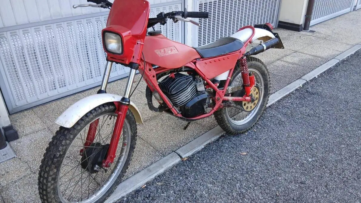 Fantic Motor   (8)