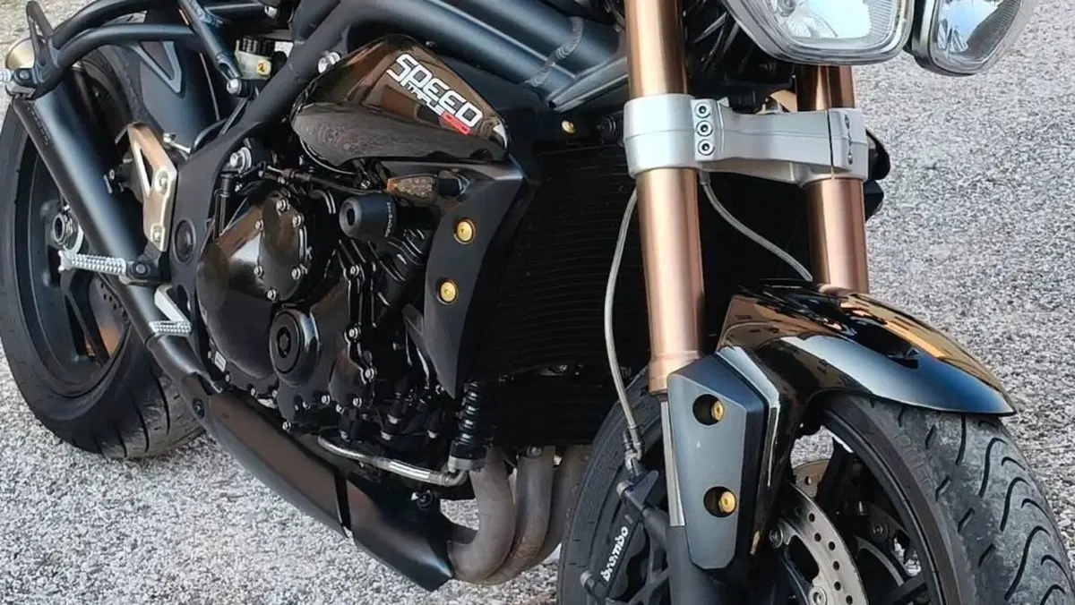 Triumph Speed Triple 1050 (2011 - 13) 
