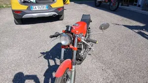 Negrini   (10)