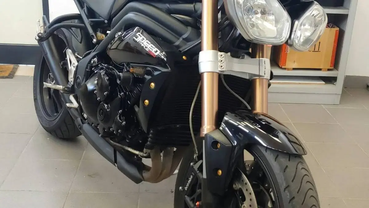 Triumph Speed Triple 1050 (2011 - 13)  (7)