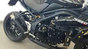 Triumph Speed Triple 1050 (2011 - 13)  (8)