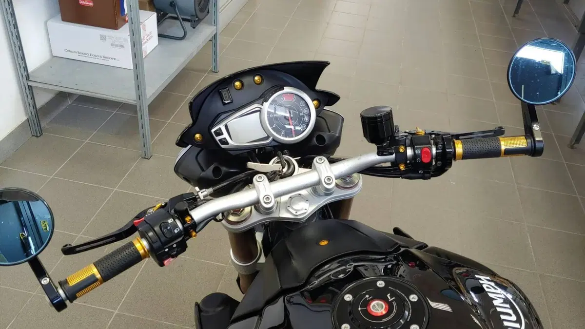 Triumph Speed Triple 1050 (2011 - 13)  (13)