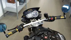 Triumph Speed Triple 1050 (2011 - 13)  (13)