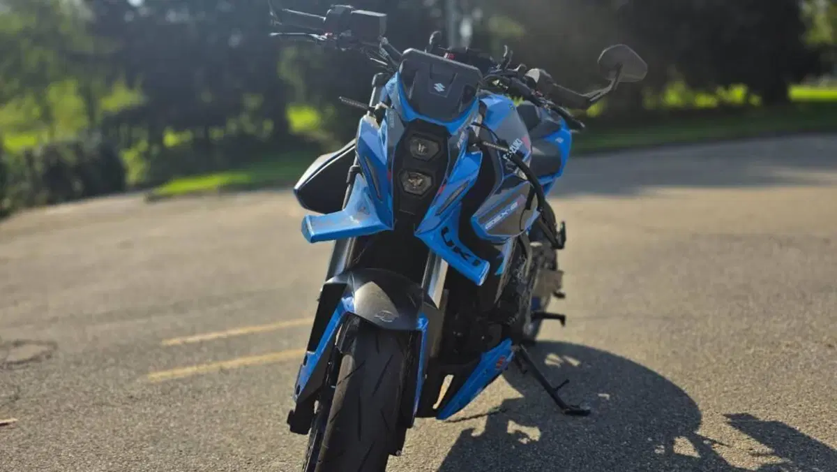 Suzuki GSX-8S Team Suzuki Edition (2024)  (6)