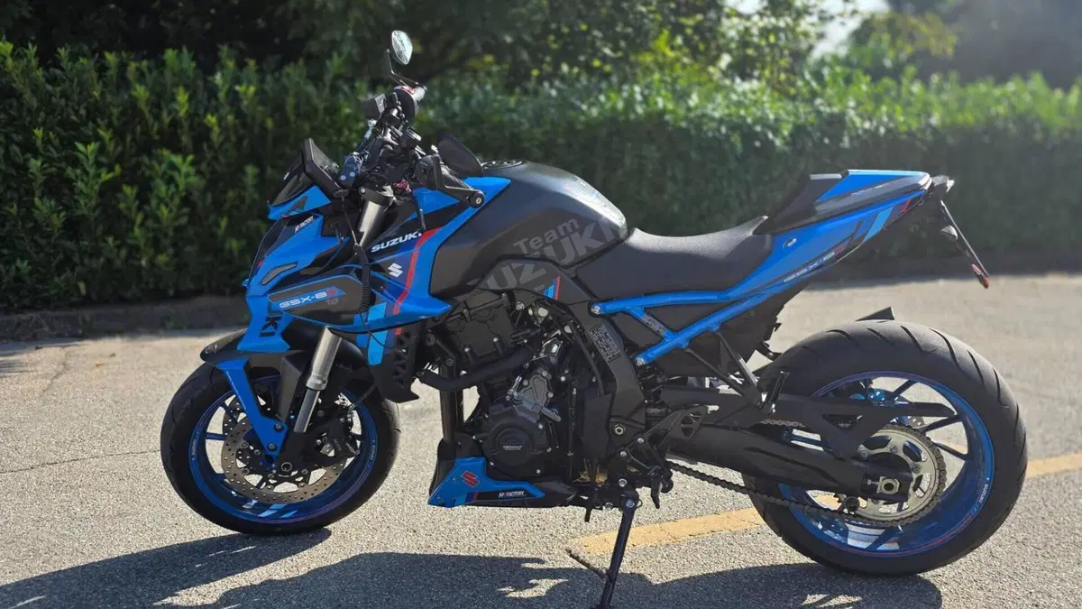 Suzuki GSX-8S Team Suzuki Edition (2024)  (2)