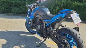 Suzuki GSX-8S Team Suzuki Edition (2024)  (7)