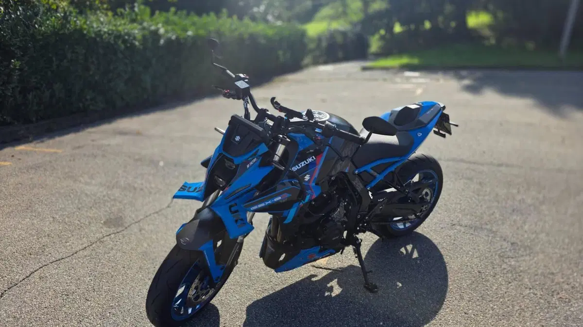Suzuki GSX-8S Team Suzuki Edition (2024)  (8)