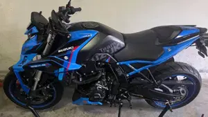 Suzuki GSX-8S Team Suzuki Edition (2024) 
