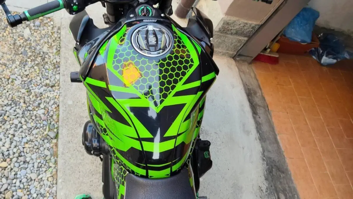Kawasaki Z 900 (2017 - 18)  (6)