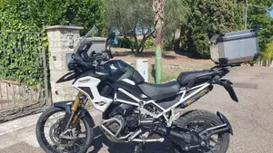 Triumph Tiger 1200 Rally Pro (2022 - 23)  (2)