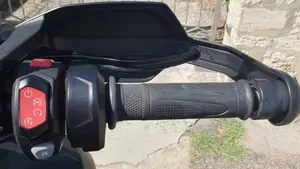 Triumph Tiger 1200 Rally Pro (2022 - 23)  (9)