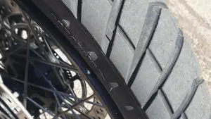 Triumph Tiger 1200 Rally Pro (2022 - 23)  (13)