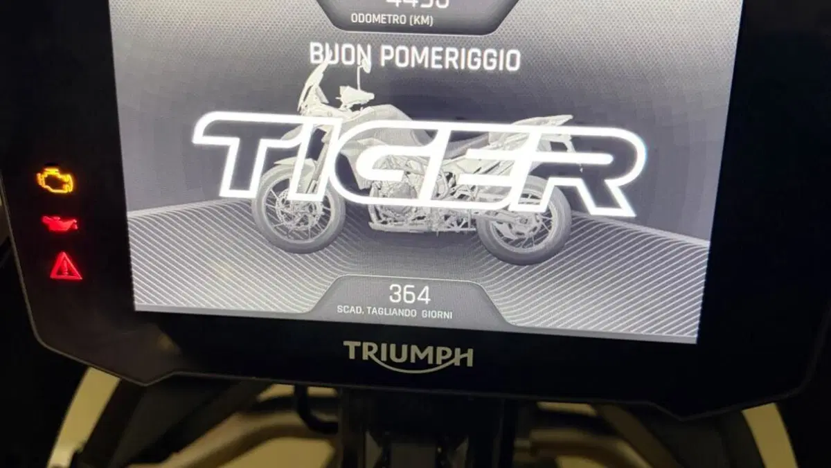 Triumph Tiger 900 Rally Aragón Edition (2023 - 24)  (5)