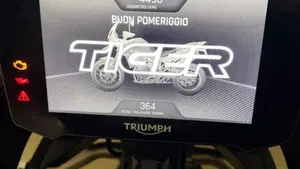 Triumph Tiger 900 Rally Aragón Edition (2023 - 24)  (5)