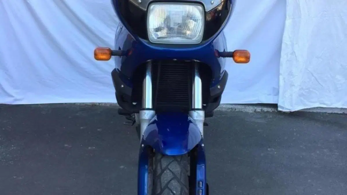 Bmw F 650  (2)