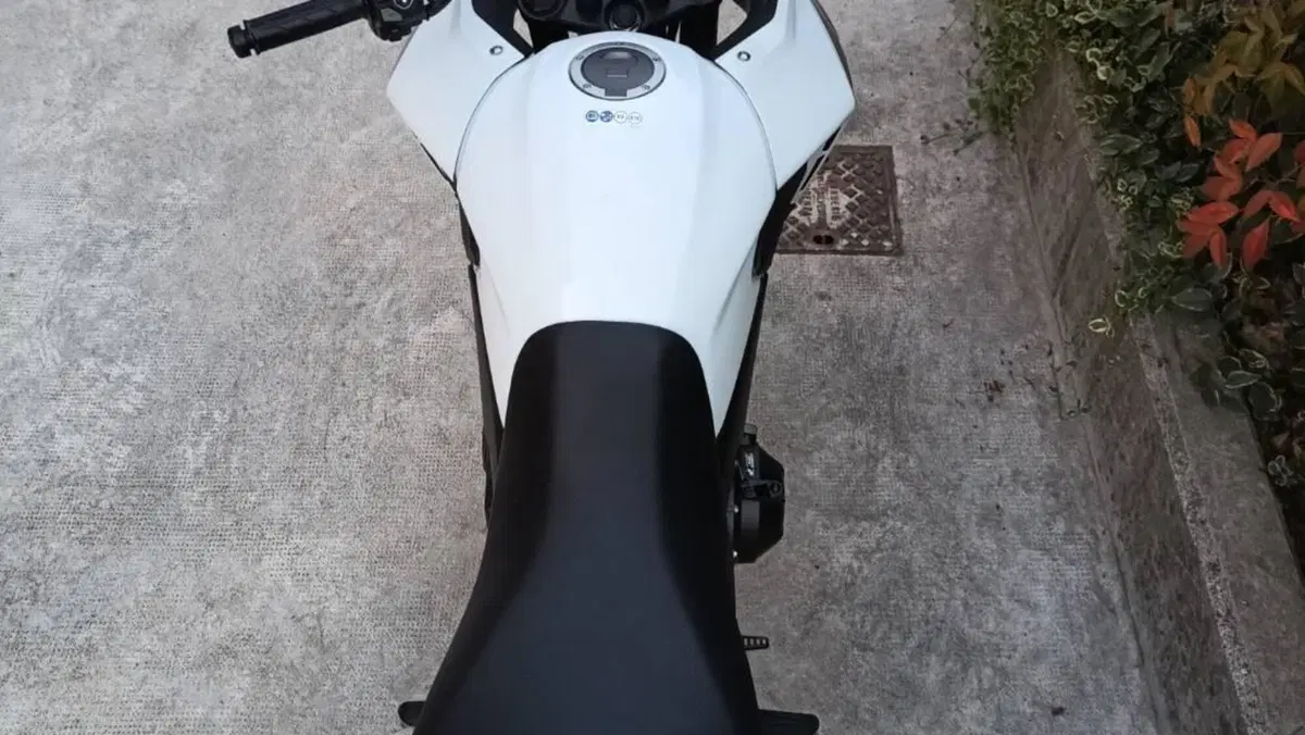 Honda NX500 (2024 - 25)  (3)