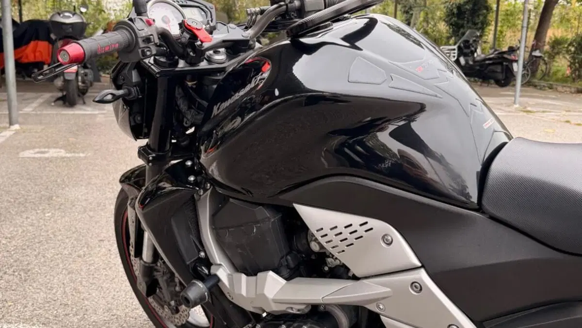 Kawasaki Z 750 (2007 - 14)  (9)