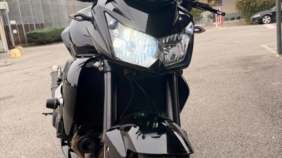 Kawasaki Z 750 (2007 - 14)  (12)