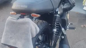 Moto Guzzi V7 Stone (2021 - 24)  (6)