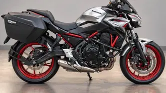 Kawasaki Z 650 (2021 - 24)