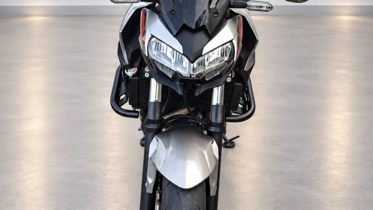Kawasaki Z 650 (2021 - 24)  (3)