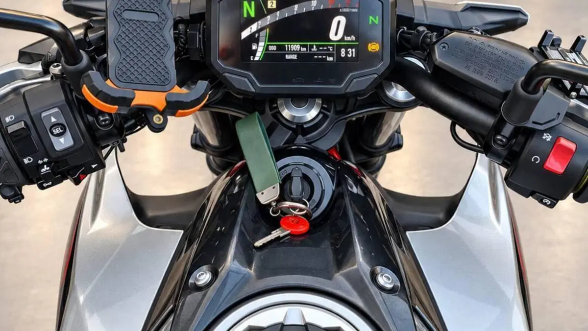 Kawasaki Z 650 (2021 - 24)  (6)