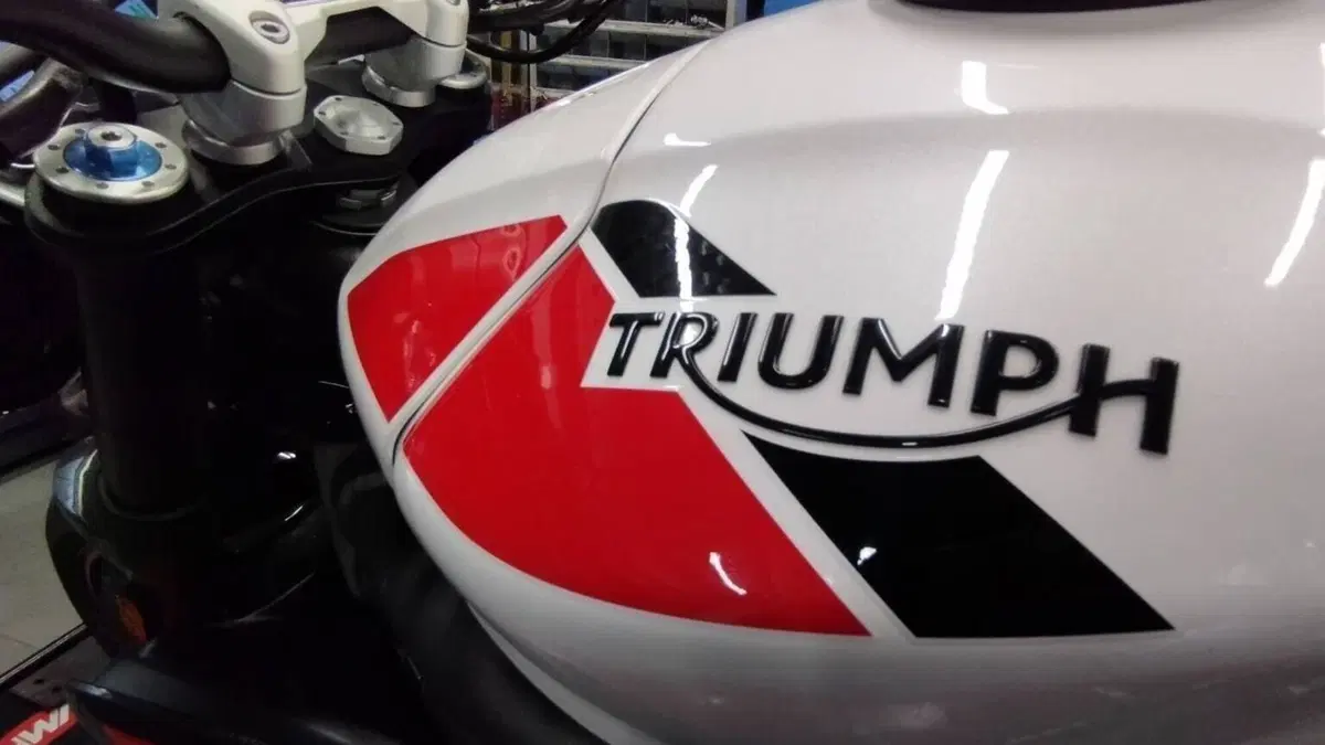 Triumph Speed Triple 1050 RS (2018 - 20)  (6)