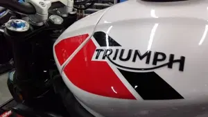 Triumph Speed Triple 1050 RS (2018 - 20)  (6)