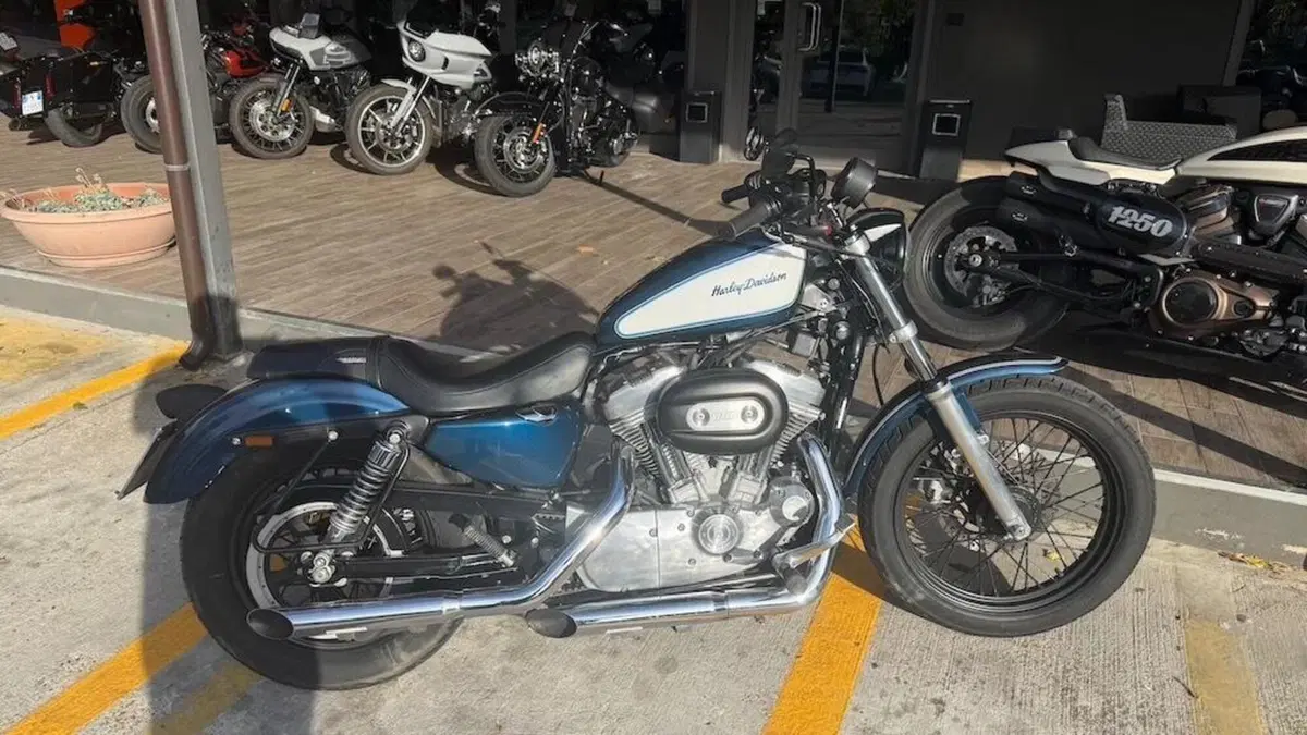 Harley-Davidson 883 Low (2006 - 07) - XL 883L  (2)