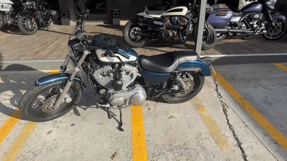Harley-Davidson 883 Low (2006 - 07) - XL 883L  (3)
